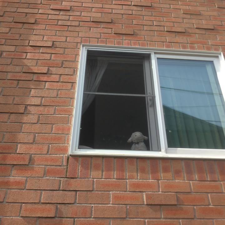 9f904c7c 1e55 4ace 824e 4f3736ada1b0 1555284291702