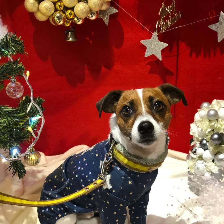 9f905d2f 7744 4246 b040 f638271874b7 1577183911446