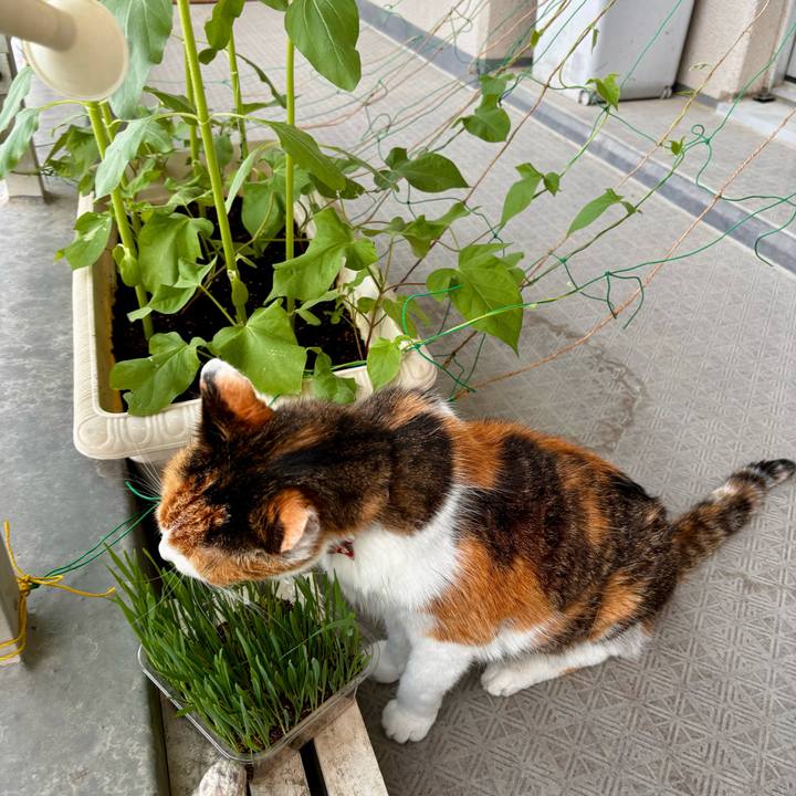 9f909cb7 fbea 4f50 a28e ed26e50ffd63 1717625838060