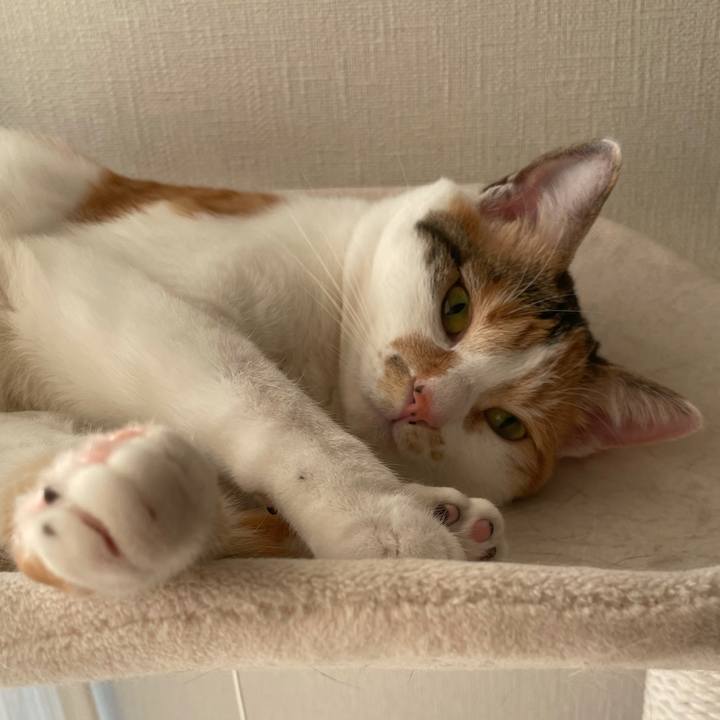 9f90ad6f 3d99 412c 9e2e c06a11164c25 1619772450020