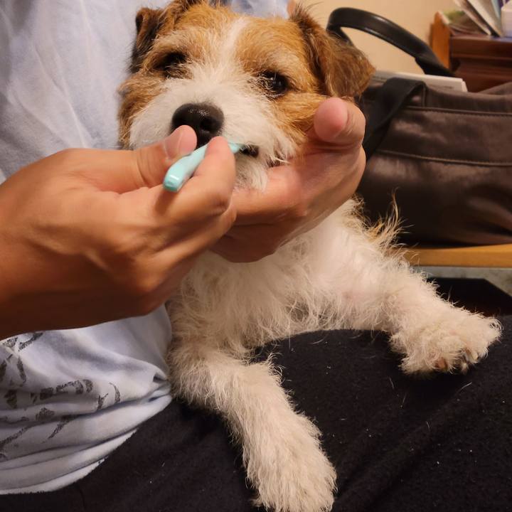 9f90db35 c170 4187 ab97 51cb62551d16 1659531919737