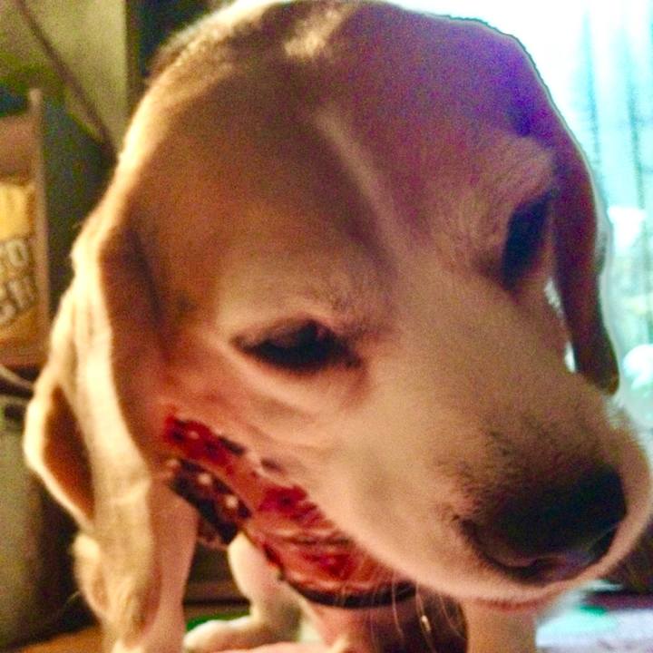 9f90f14a 7d3f 434e 82d9 51cbf7ec4397 1766481508594