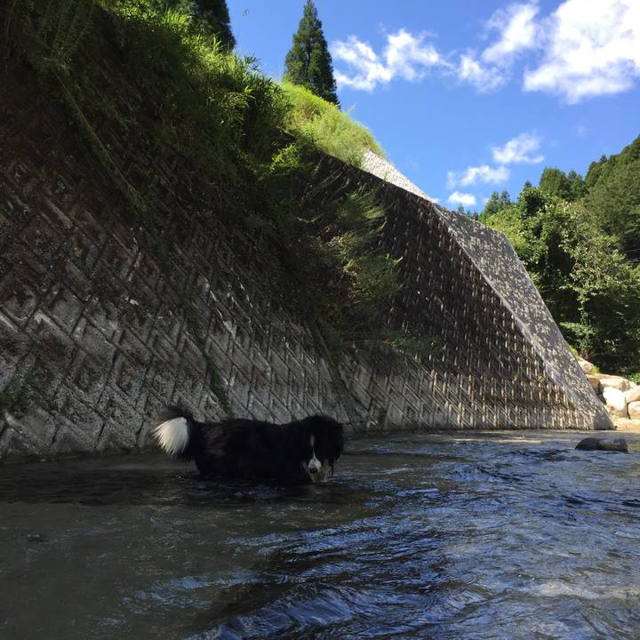 9f915232 d8c9 4b9e bdd4 336685bc16ca 1565594078456