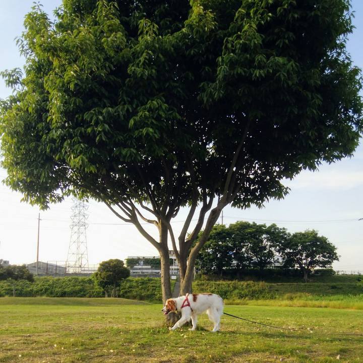 9f9189d6 dd65 46b0 b4a3 fe0cd420bef5 1559821745209