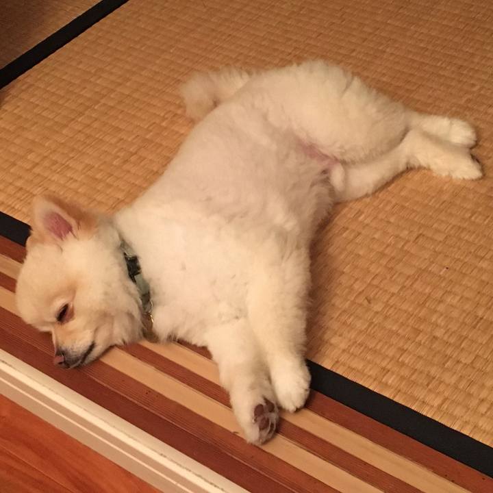 9f91922d 44ef 4b8d a8f5 33385bb3812a 1588328880283