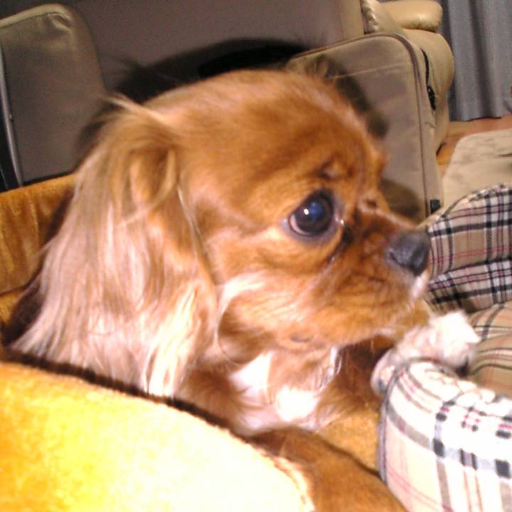 9f919f36 eb3b 4747 a40c a5451ec95b9e 1517402525464