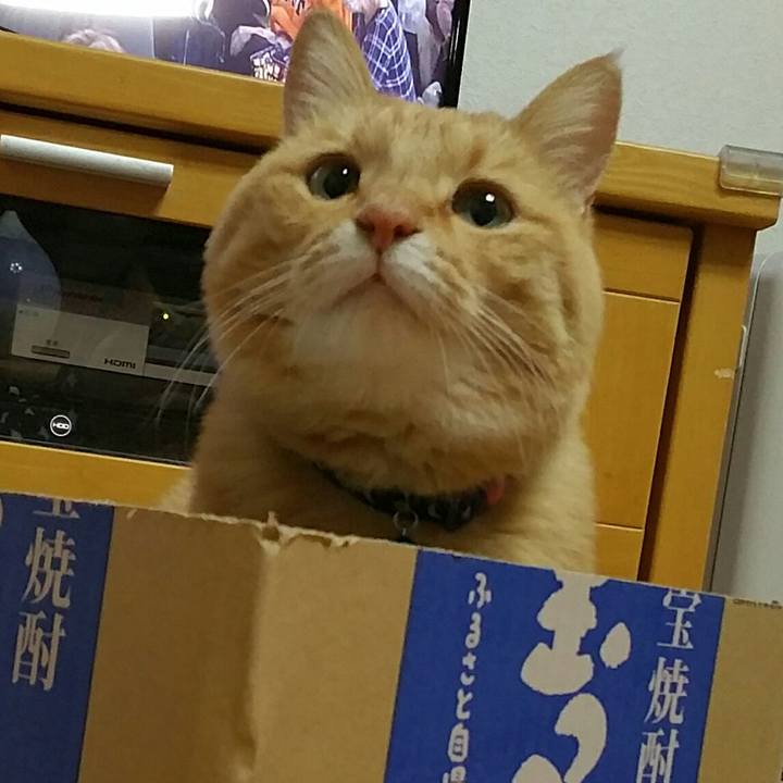 9f91b1e0 e291 4754 bef8 4d209f12639b 1575719132549