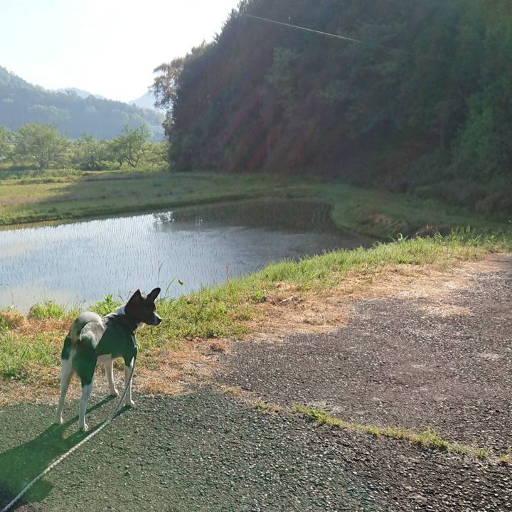 9f91fed5 8b71 4f8b 91b8 8c2ee5191f86 1557529227994