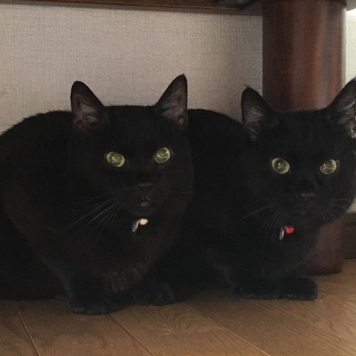 9f9201e1 6327 4f37 8220 d6594f7858cf 1532984429516