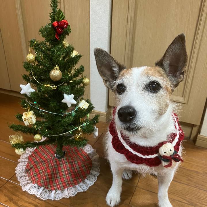 9f9259e7 244c 4246 8cd3 3e6874b81138 1703382890258