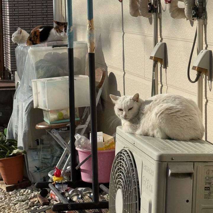 9f92a4bd c38d 4a0c a16a 51f138143e30 1767147357480