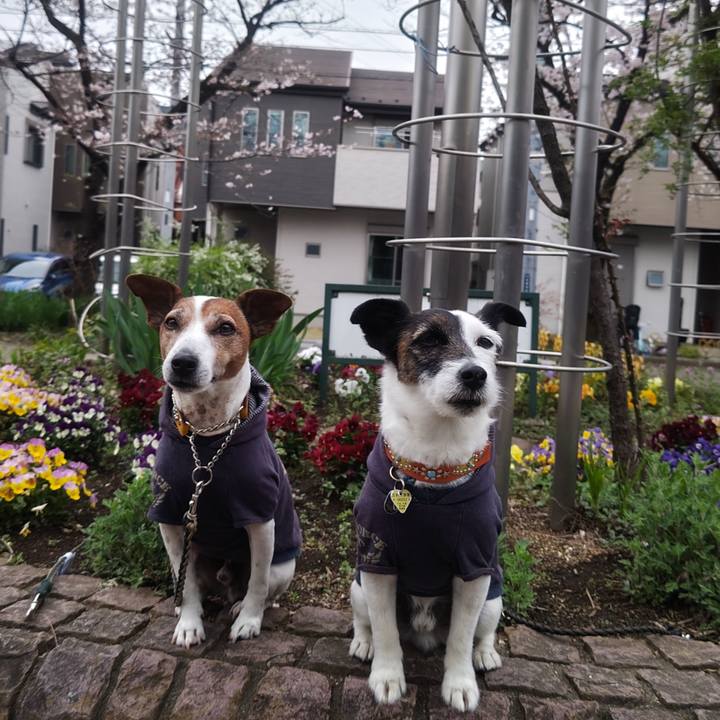 9f92af05 21b5 4a32 8c4a 4c847e5a1e9e 1774826424838