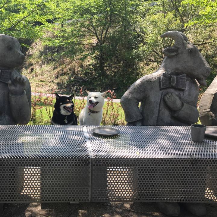 9f92c999 7345 42f9 9fb2 76eb64b0f87c 1556869144083