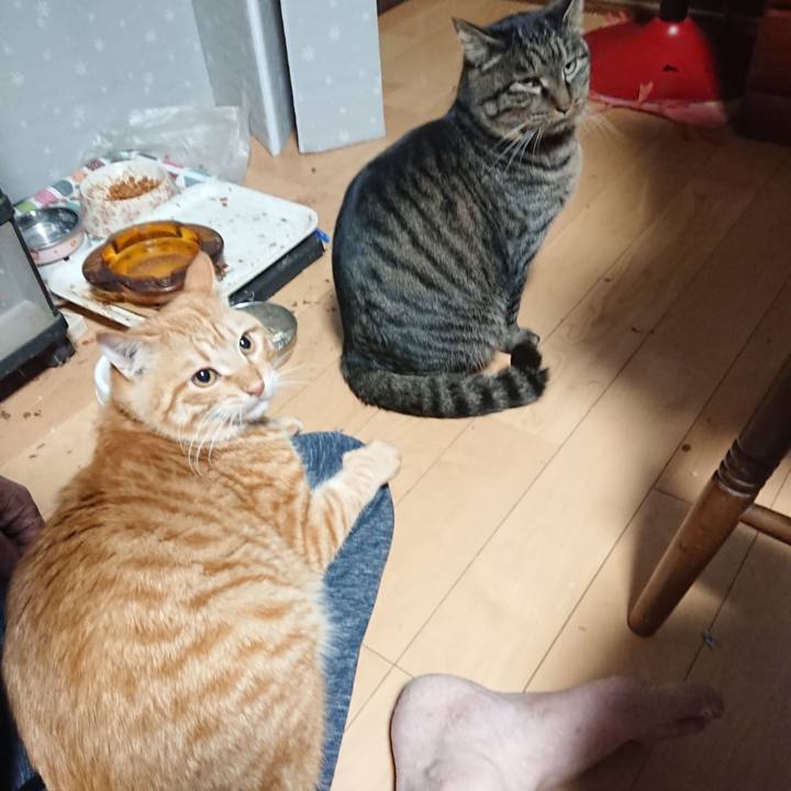 9f9308ab a1dc 452a b273 65457eb9d31f 1641502712447