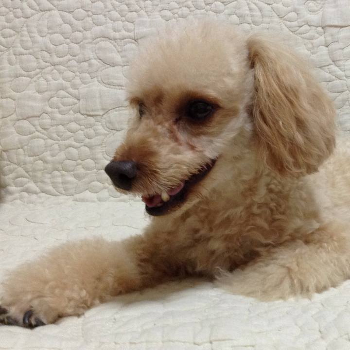 9f934d22 152e 4d65 975f 53b7bd77ae80 1535627207193