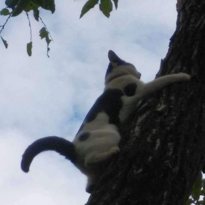 9f9351eb bbfe 4fe8 9778 9559673bb7aa 1602810631377