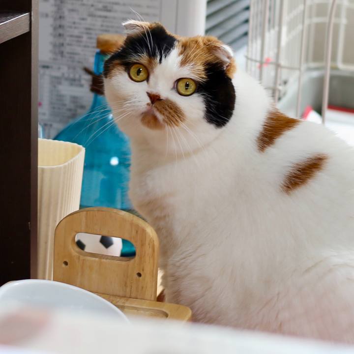 9f935d60 971f 4d7b 8f53 62a184d7186a 1565482268328