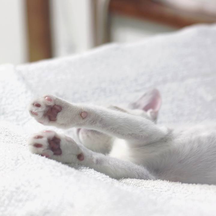 9f936cf1 cf1f 4709 bffc b19dd5bfacf2 1600769071585