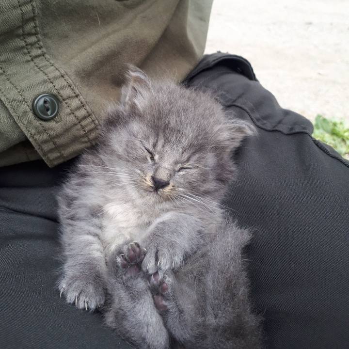 9f936e79 d2b8 496b a031 a33ba8bf3c5e 1624772702645