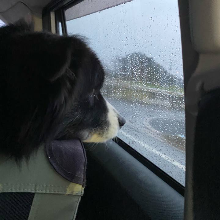 9f938c6a f5dd 4995 9c44 1cda8538e3c8 1671920814780