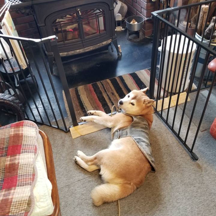 9f93ef37 75c7 45f9 92a6 96ece0e08dde 1644795117445