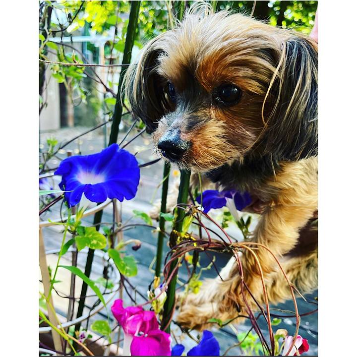 9f93fc05 00af 4aa0 bc20 ead9f3e3851d 1664317624192