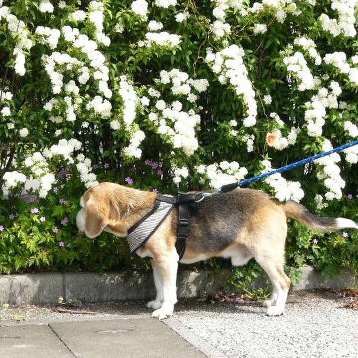 9f94053d 3bb5 41e3 8460 feb6bc45b347 1663631392004