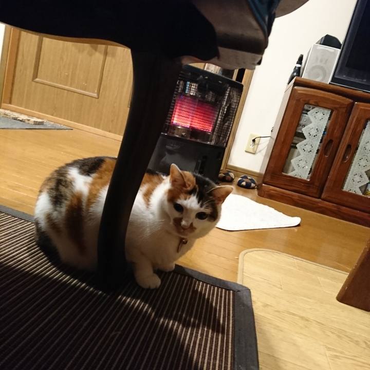 9f94193a eb39 4006 9ba3 c9b8dc22db69 1577120072723