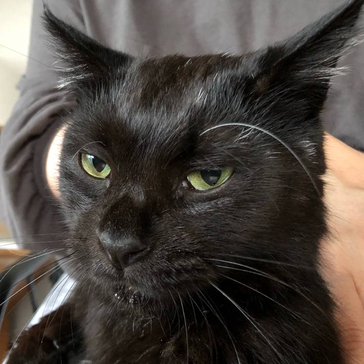 9f94514f 6512 4405 8559 42da475f956b 1599251606921