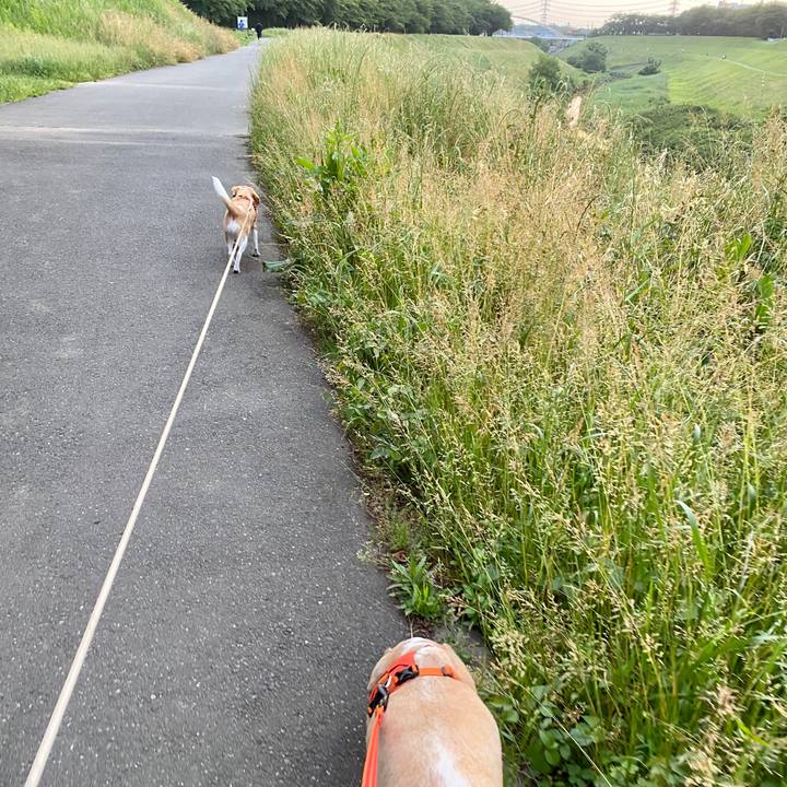 9f9466aa 343a 4fc6 adb0 1fc7466c24ff 1590574240062