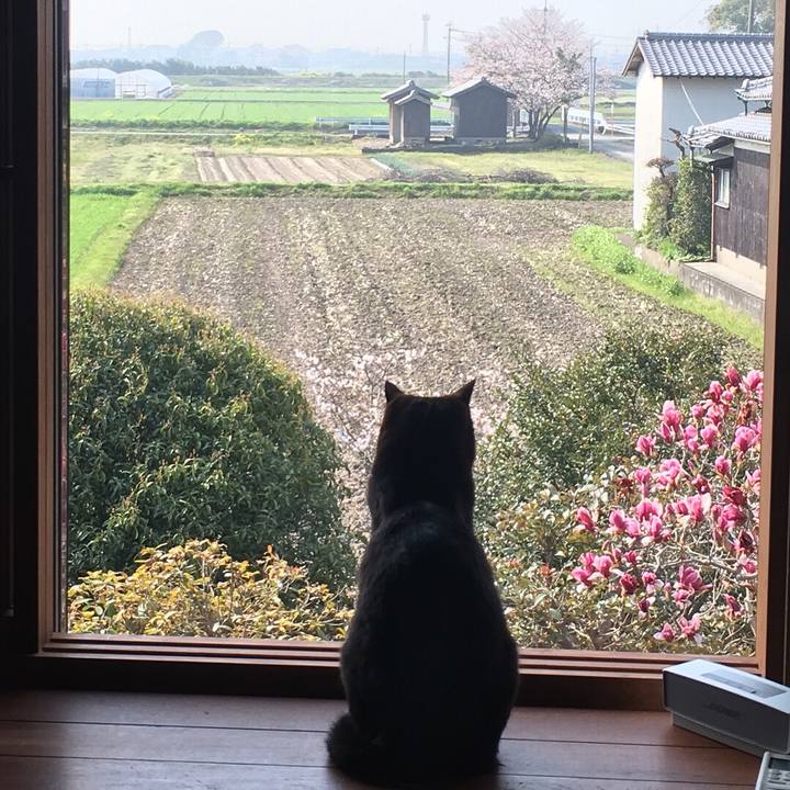 9f94766b d832 4454 b40d 9ca045eaf93c 1522194440948