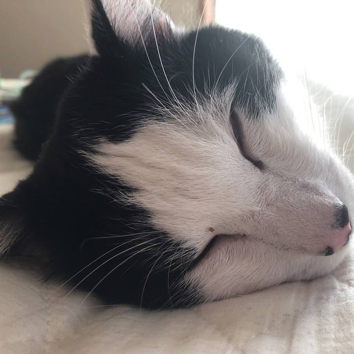 9f94a312 4151 455f 8f58 5f8f698dddc8 1564234441909