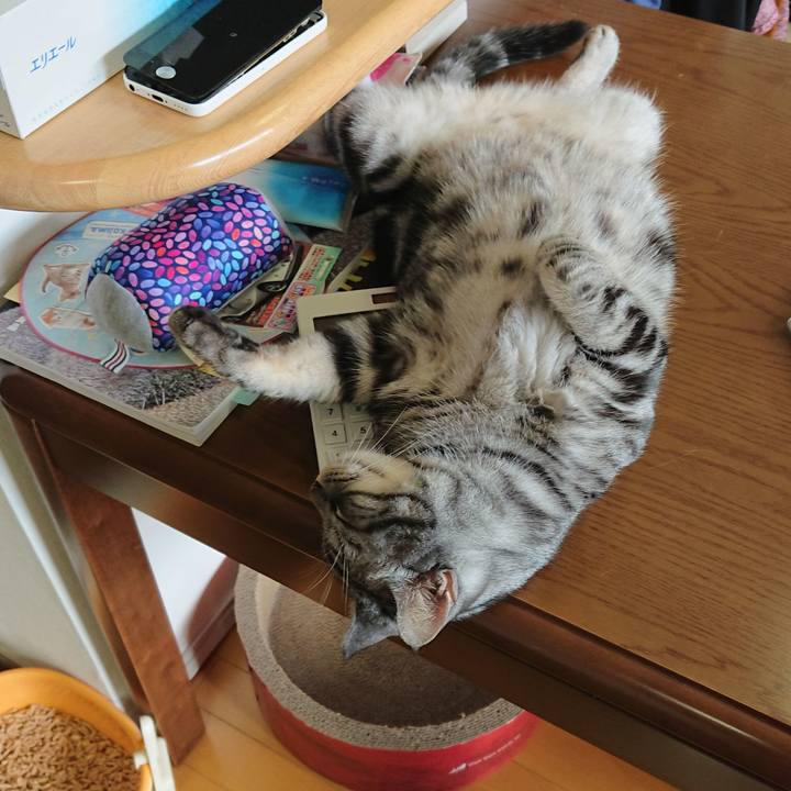 9f94a972 67be 421c bdc9 70bf017fdef5 1537334317782