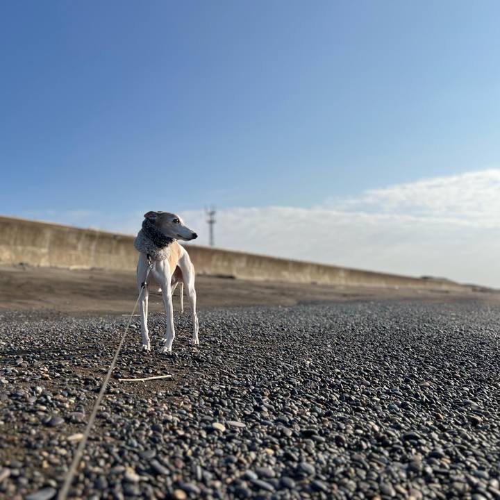 9f94be91 1661 4c6f 8e25 4c102b0ef3c2 1764318743002