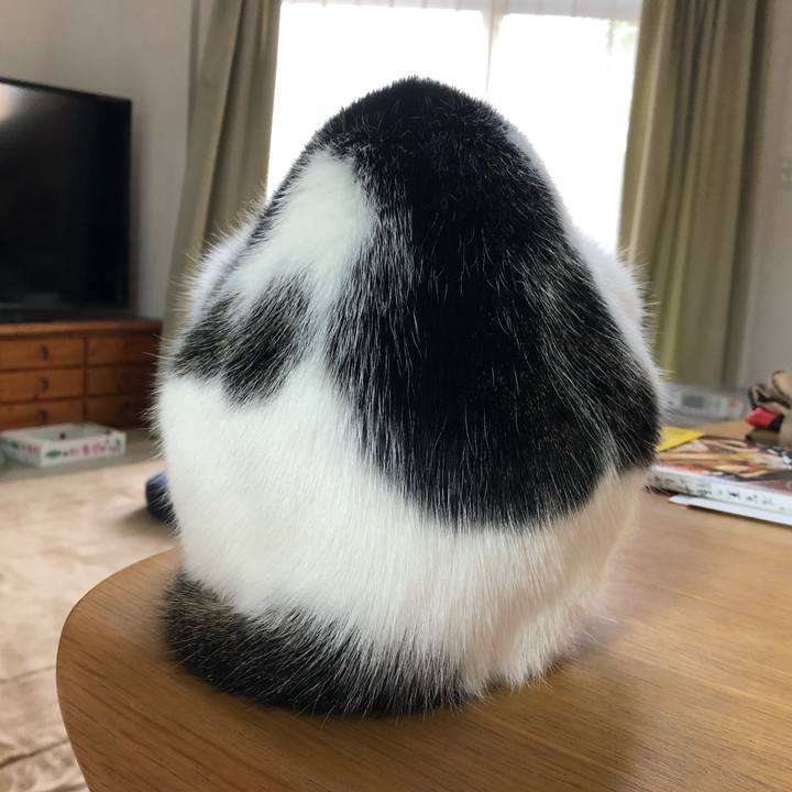 9f94ca44 6240 4098 a1f1 c2dfa8de632e 1618909335700