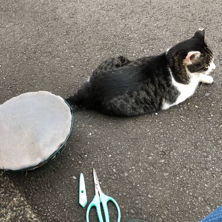 9f94cb4c bcf5 4391 a9a1 77af2a502536 1540896488428