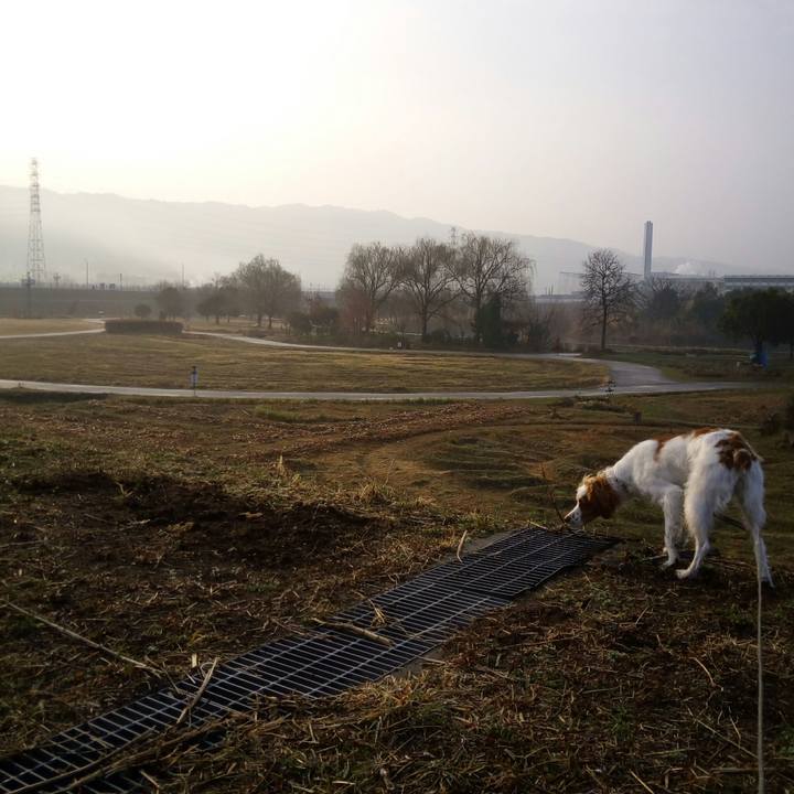 9f950683 47d7 4544 9d21 d4a1d6dbdce8 1519646950798