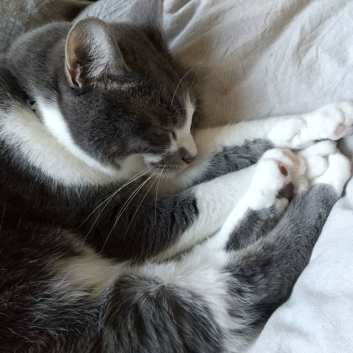 9f951a5f 892f 41e2 a113 dc867df15d74 1647047004088