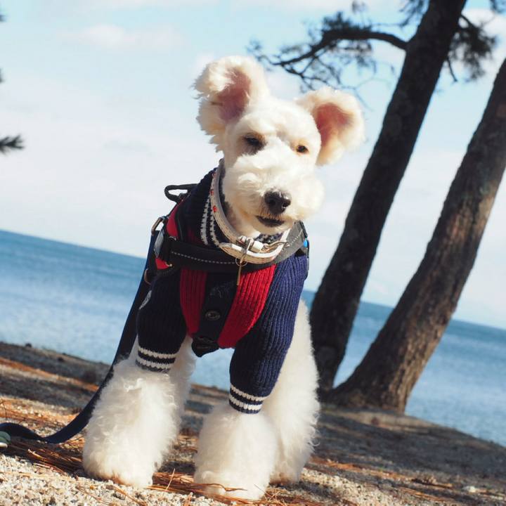 9f955012 1d56 48ca 80b2 0f72d17a63fb 1518437925069