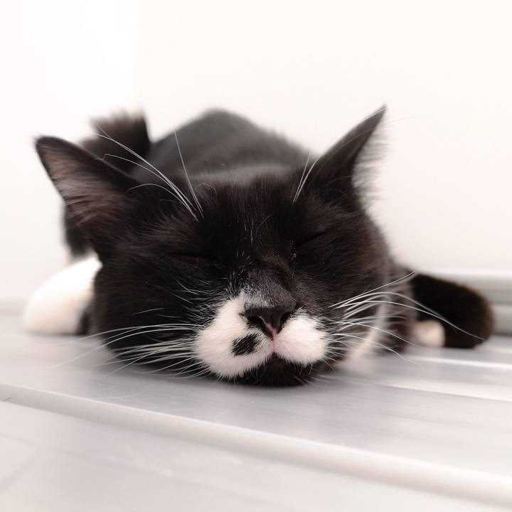 9f9561f4 f788 4038 967b 648e55a04f1f 1547397936409