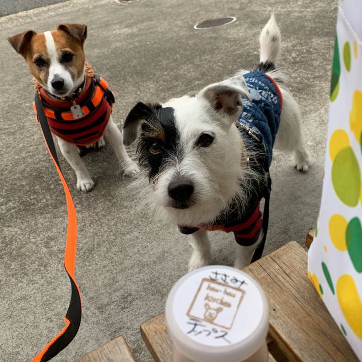 9f959059 a127 41ce 852b 046730dd08e8 1553847702507