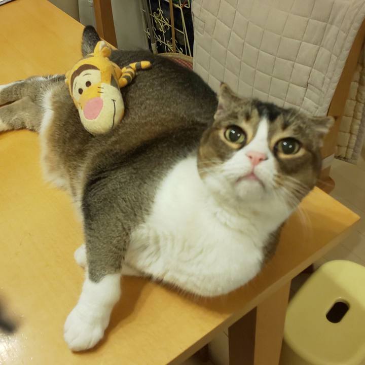 9f95948b 3f8e 41ea b570 50778924f251 1719841248236