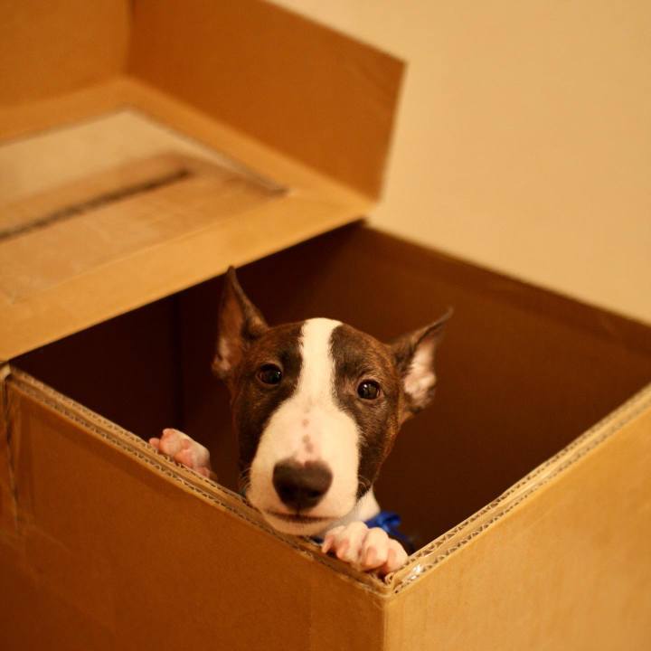 9f95ca0d aa7c 4603 a344 d58b460e880f 1669722880955