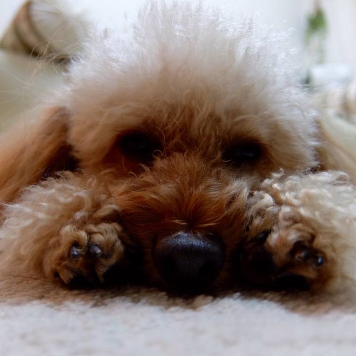 9f95dd51 5666 4660 884b 8849f3816482 1555799822722