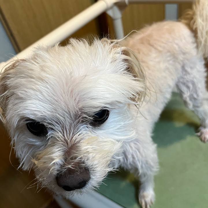 9f95fa01 af0c 4384 ad48 fa9a36ece23a 1675751499532