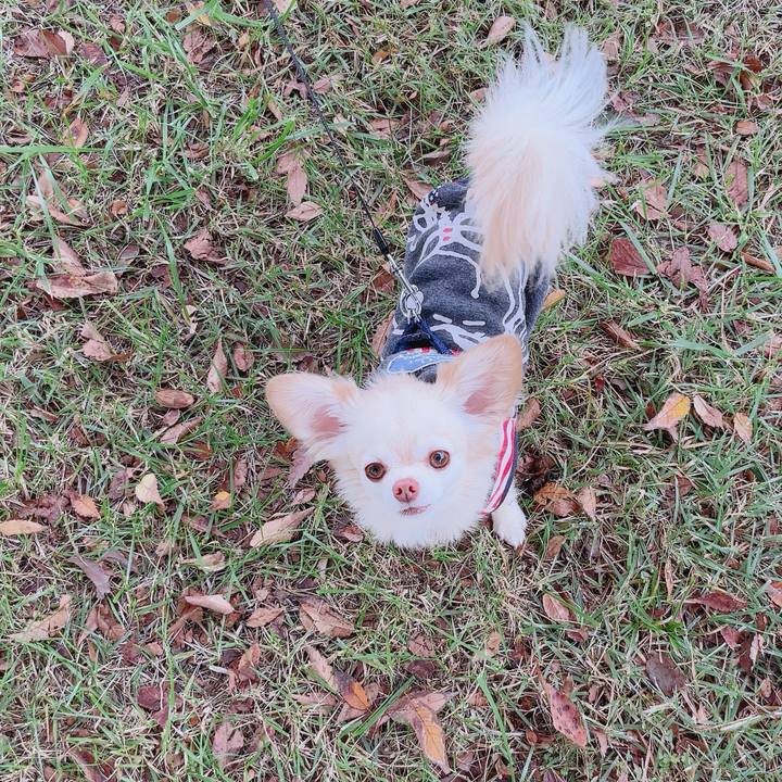 9f96333d 6727 4eb3 be62 362b479e3e3a 1762049713688