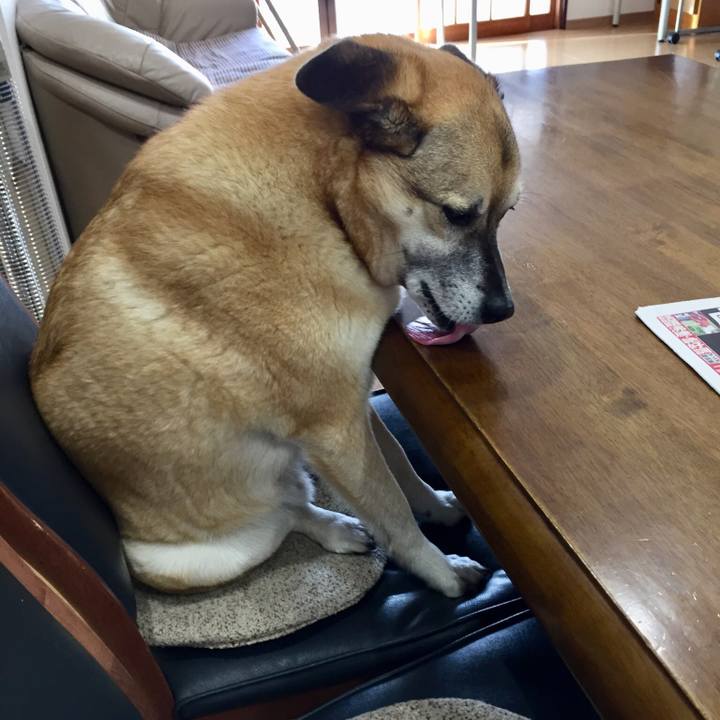 9f963439 76e7 4d46 8902 b355bf5fed90 1522974538761