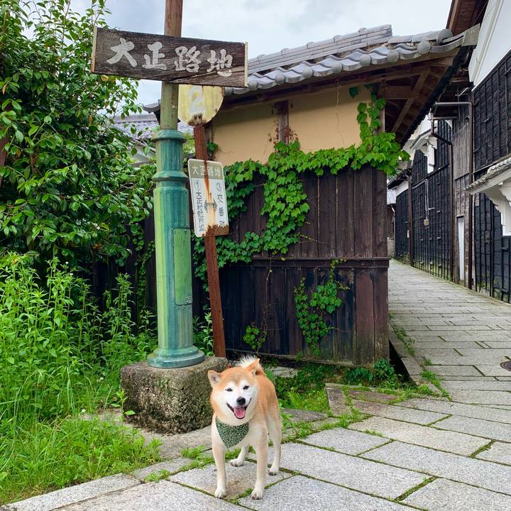 9f96352b dc30 4d41 af13 5cb14dc3ec81 1686307787754