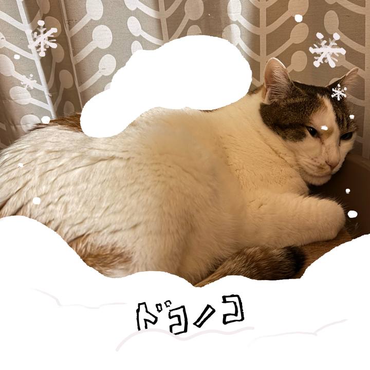 9f965c4c f7aa 433d a831 28f862211324 1772196236230