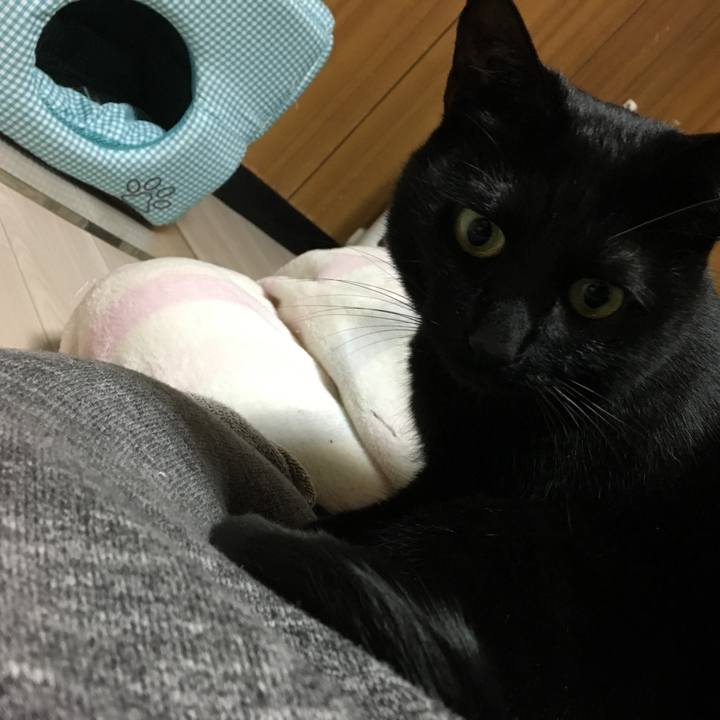 9f965dde 1362 4974 bc16 e5ca7cc01980 1515399462211